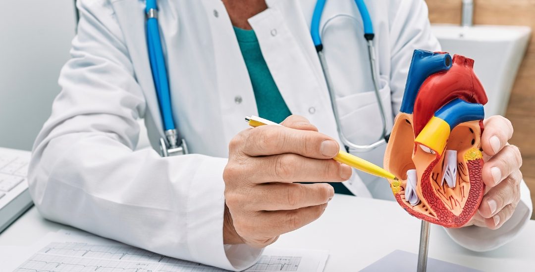 Heart Disease Symptoms: Early Warning Signs in Women, Heart Blockage Symptoms, Chest Pain Awareness, Recognizing Heart Attack Symptoms, Cholesterol Causes and Control